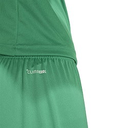 Présentation: Adidas Entrada 26 Short Hommes - Vert / Blanc