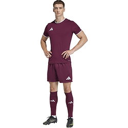 Voorvertoning: Adidas Entrada 26 Short Heren - Bordeaux / Wit