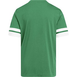 Présentation: Adidas Squadra 25 Maillot Manches Courtes Enfants - Vert / Blanc