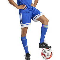 Présentation: Adidas Squadra 25 Short Hommes - Royal / Blanc