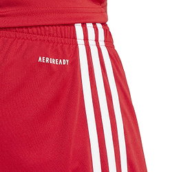 Présentation: Adidas Squadra 25 Short Hommes - Rouge