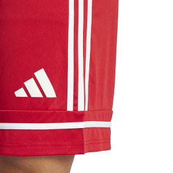 Présentation: Adidas Squadra 25 Short Hommes - Rouge