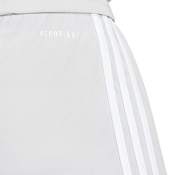 Présentation: Adidas Squadra 25 Short Hommes - Gris / Blanc