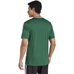 Présentation: Adidas Campeon 25 Maillot Manches Courtes Hommes - Vert Foncé / Blanc