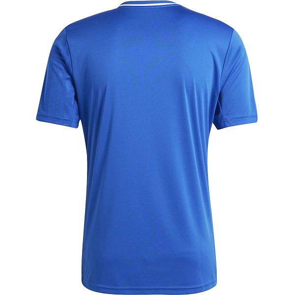 Adidas Campeon 25 Trikot Kurzarm Herren - Royal / Weiß