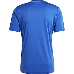 Vorschau: Adidas Campeon 25 Trikot Kurzarm Herren - Royal / Weiß