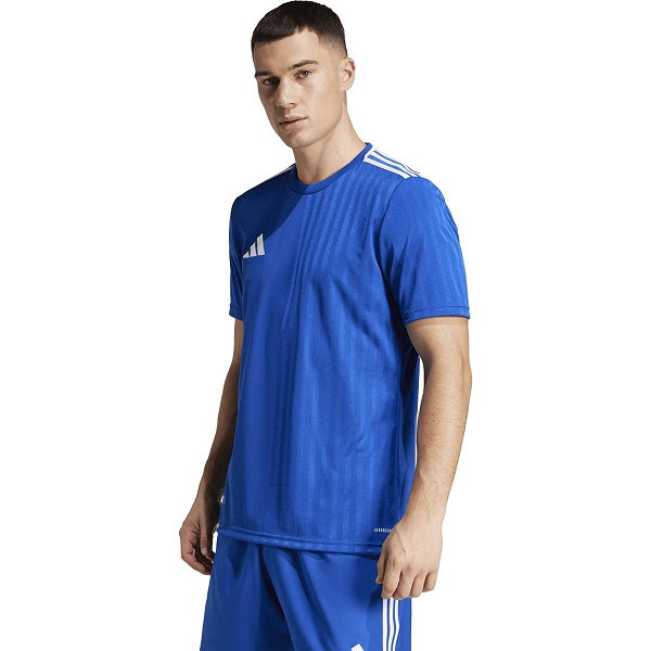 Adidas Campeon 25 Trikot Kurzarm Herren - Royal / Weiß