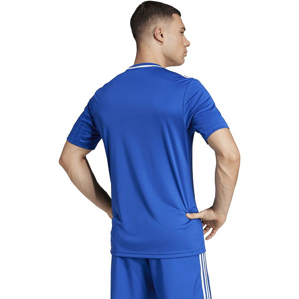 Adidas Campeon 25 Trikot Kurzarm Herren - Royal / Weiß