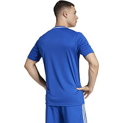 Vorschau: Adidas Campeon 25 Trikot Kurzarm Herren - Royal / Weiß