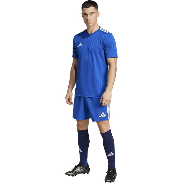 Adidas Campeon 25 Trikot Kurzarm Herren - Royal / Weiß