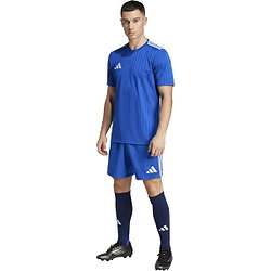 Vorschau: Adidas Campeon 25 Trikot Kurzarm Herren - Royal / Weiß