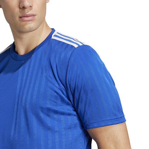 Adidas Campeon 25 Trikot Kurzarm Herren - Royal / Weiß