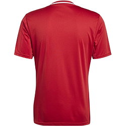 Présentation: Adidas Campeon 25 Maillot Manches Courtes Hommes - Rouge / Blanc