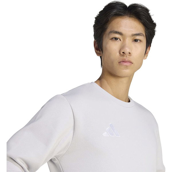 Adidas Entrada 26 Sweater Heren - Grijs