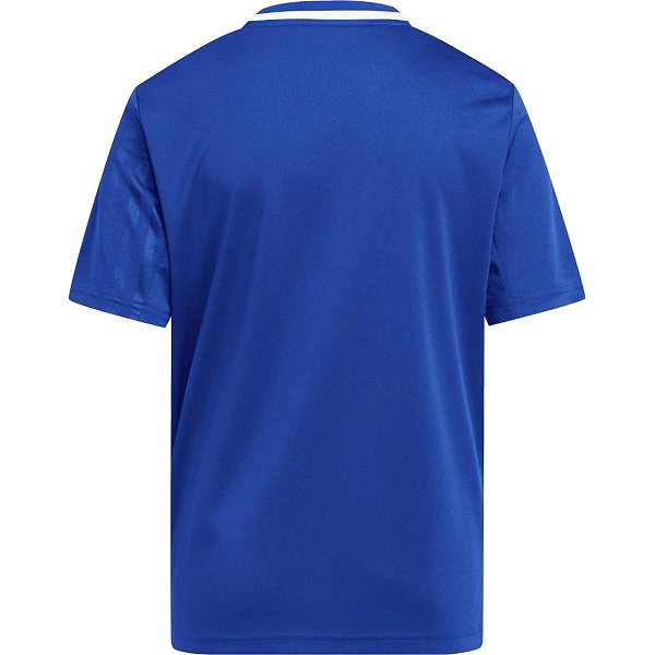 Adidas Campeon 25 Maillot Manches Courtes Enfants - Royal / Blanc