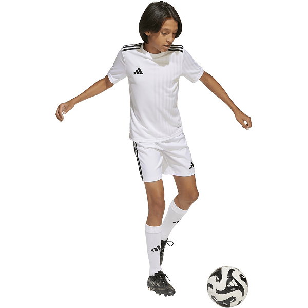 Adidas Campeon 25 Maillot Manches Courtes Enfants - Blanc / Noir