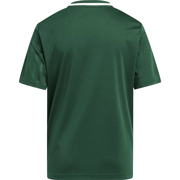 Adidas Campeon 25 Maillot Manches Courtes Enfants - Vert Foncé / Blanc