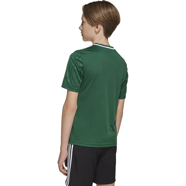 Adidas Campeon 25 Maillot Manches Courtes Enfants - Vert Foncé / Blanc