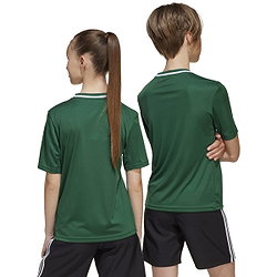 Présentation: Adidas Campeon 25 Maillot Manches Courtes Enfants - Vert Foncé / Blanc