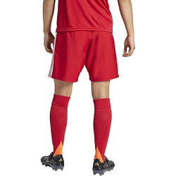 Présentation: Adidas Tastigo 25 Short Hommes - Rouge / Blanc