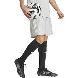 Voorvertoning: Adidas Tastigo 25 Short Heren - Grijs / Wit