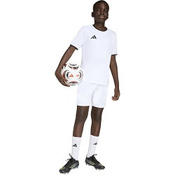 Présentation: Adidas Entrada 26 Maillot Manches Courtes Enfants - Blanc / Noir