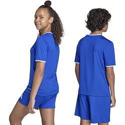 Présentation: Adidas Entrada 26 Maillot Manches Courtes Enfants - Royal / Blanc