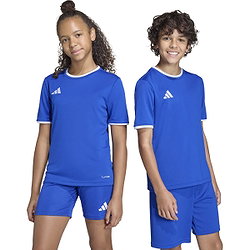 Présentation: Adidas Entrada 26 Maillot Manches Courtes Enfants - Royal / Blanc