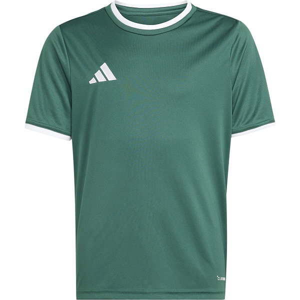 Adidas Entrada 26 Maillot Manches Courtes Enfants - Vert Foncé / Blanc