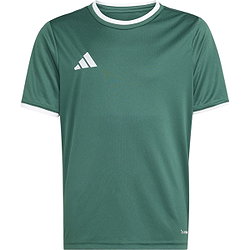 Adidas Entrada 26 Maillot Manches Courtes Enfants - Vert Foncé / Blanc
