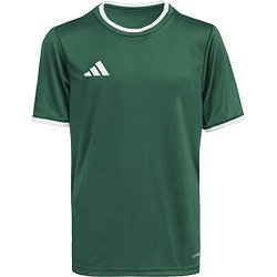 Présentation: Adidas Entrada 26 Maillot Manches Courtes Enfants - Vert Foncé / Blanc