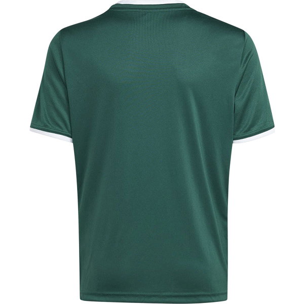 Adidas Entrada 26 Maillot Manches Courtes Enfants - Vert Foncé / Blanc