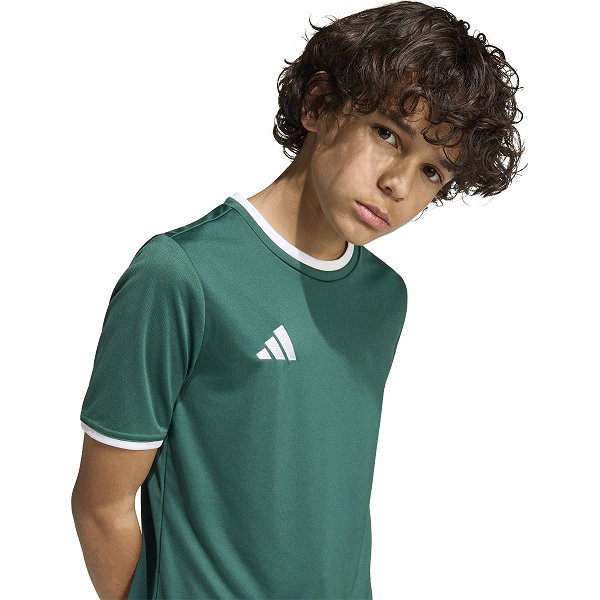 Adidas Entrada 26 Maillot Manches Courtes Enfants - Vert Foncé / Blanc
