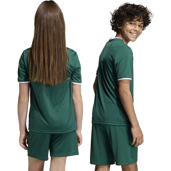 Adidas Entrada 26 Maillot Manches Courtes Enfants - Vert Foncé / Blanc