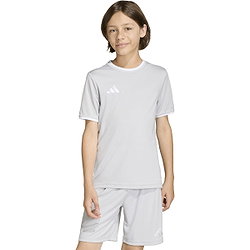 Présentation: Adidas Entrada 26 Maillot Manches Courtes Enfants - Gris / Blanc