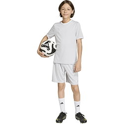 Présentation: Adidas Entrada 26 Maillot Manches Courtes Enfants - Gris / Blanc