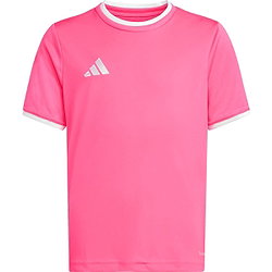 Adidas Entrada 26 Shirt Korte Mouw Kinderen - Roze / Wit
