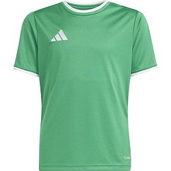 Adidas Entrada 26 Maillot Manches Courtes Enfants - Vert / Blanc