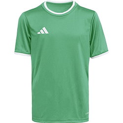 Présentation: Adidas Entrada 26 Maillot Manches Courtes Enfants - Vert / Blanc