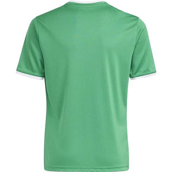 Adidas Entrada 26 Maillot Manches Courtes Enfants - Vert / Blanc