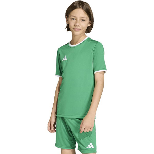 Adidas Entrada 26 Maillot Manches Courtes Enfants - Vert / Blanc