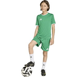 Présentation: Adidas Entrada 26 Maillot Manches Courtes Enfants - Vert / Blanc