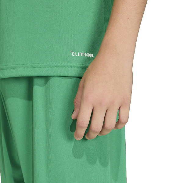 Adidas Entrada 26 Maillot Manches Courtes Enfants - Vert / Blanc