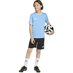 Présentation: Adidas Entrada 26 Maillot Manches Courtes Enfants - Bleu Ciel / Blanc