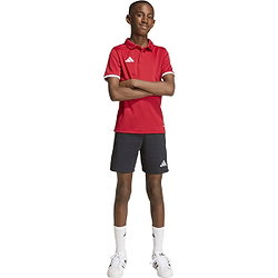 Voorvertoning: Adidas Entrada 26 Polo Kinderen - Rood