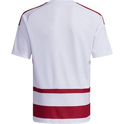 Présentation: Adidas Hooped 26 Maillot Manches Courtes Enfants - Blanc / Rouge