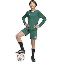Présentation: Adidas Entrada 26 Maillot À Manches Longues Enfants - Vert Foncé