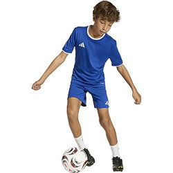 Présentation: Adidas Entrada 26 Short Enfants - Royal