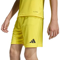 Présentation: Adidas Entrada 26 Short Enfants - Jaune