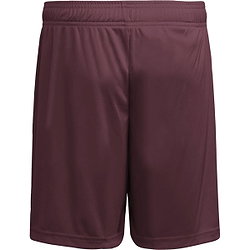 Voorvertoning: Adidas Entrada 26 Short Kinderen - Bordeaux